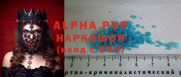 эйфоретик Няндома