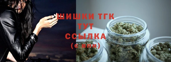 метадон Новодвинск