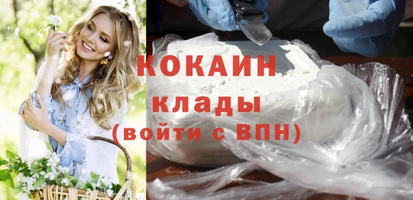 эйфоретик Няндома