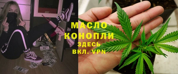 эйфоретик Няндома