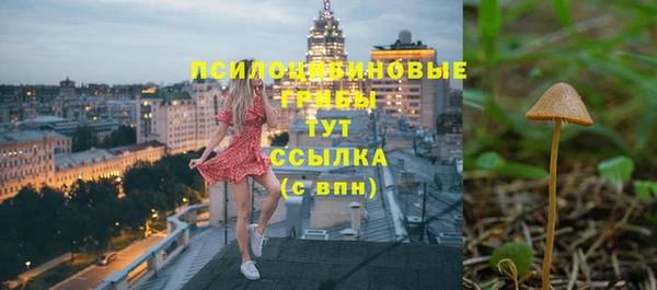 экстази Новозыбков