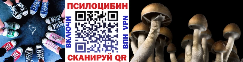 магазин  наркотиков  Сорочинск  Псилоцибиновые грибы MAGIC MUSHROOMS 