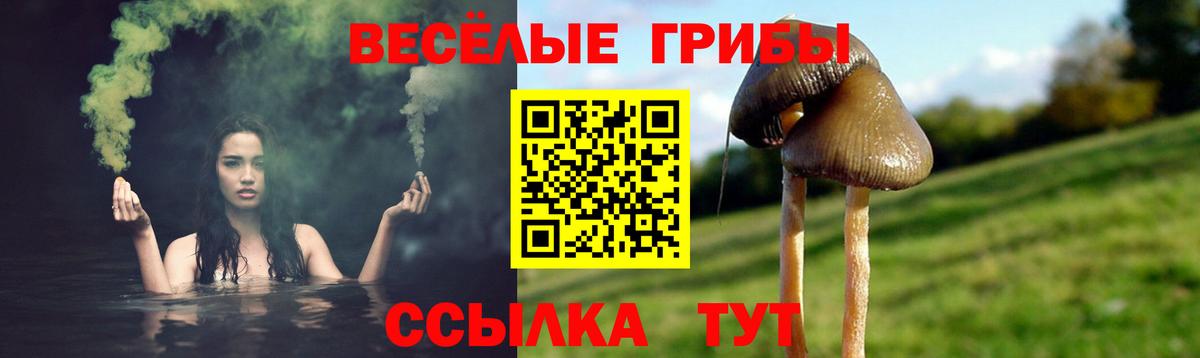 Сорочинск  Псилоцибиновые грибы GOLDEN TEACHER  как найти закладки  Вход с VPN 