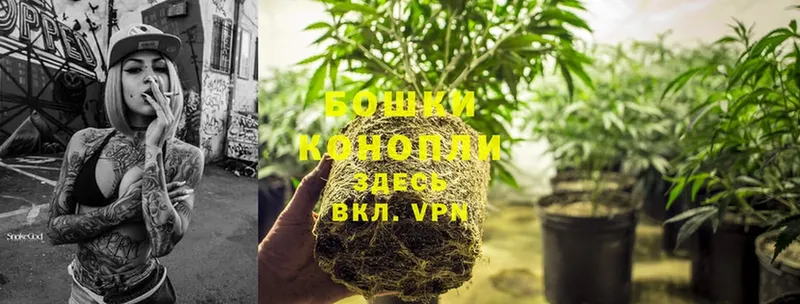 купить   Сорочинск  Бошки марихуана Ganja 